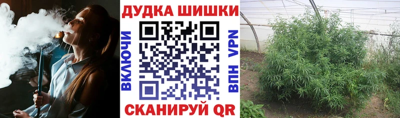 Купить где  Елизаветинская  Каннабис AK-47 